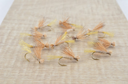X-Caddis (12 Pack)