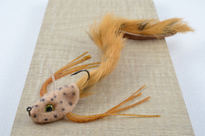 Schiel's Mad Mud Dog Salamander (1 Pack)