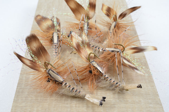 Crayfish (6 Pack)